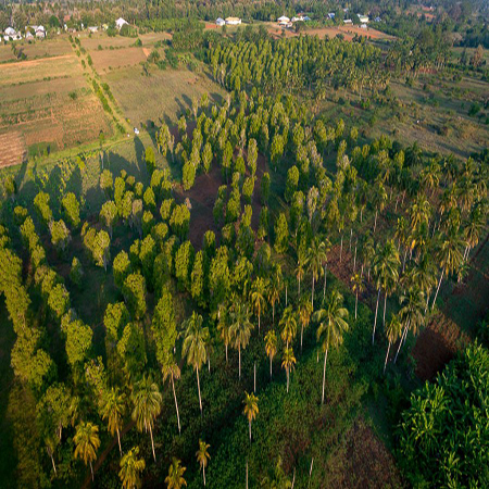 1 day spice farm tour